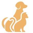 Pet Academy