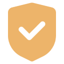 Safety & Security Icon